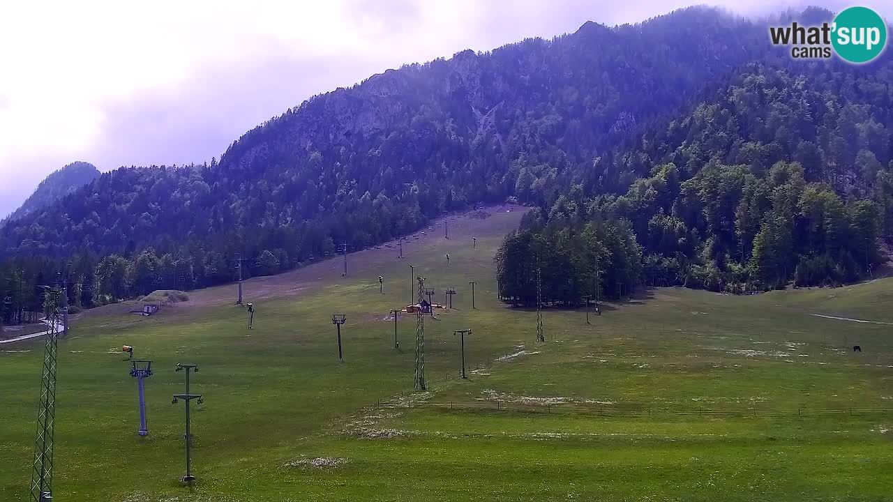 Webcam Kranjska Gora SKI – panoramica Piste centrali