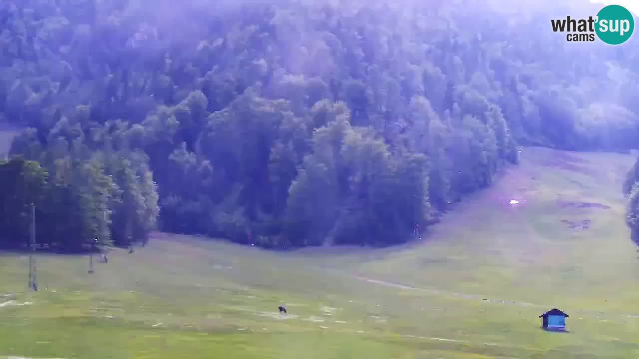 Kamera Kranjska Gora | Plaža in proge Kekec in Mojca