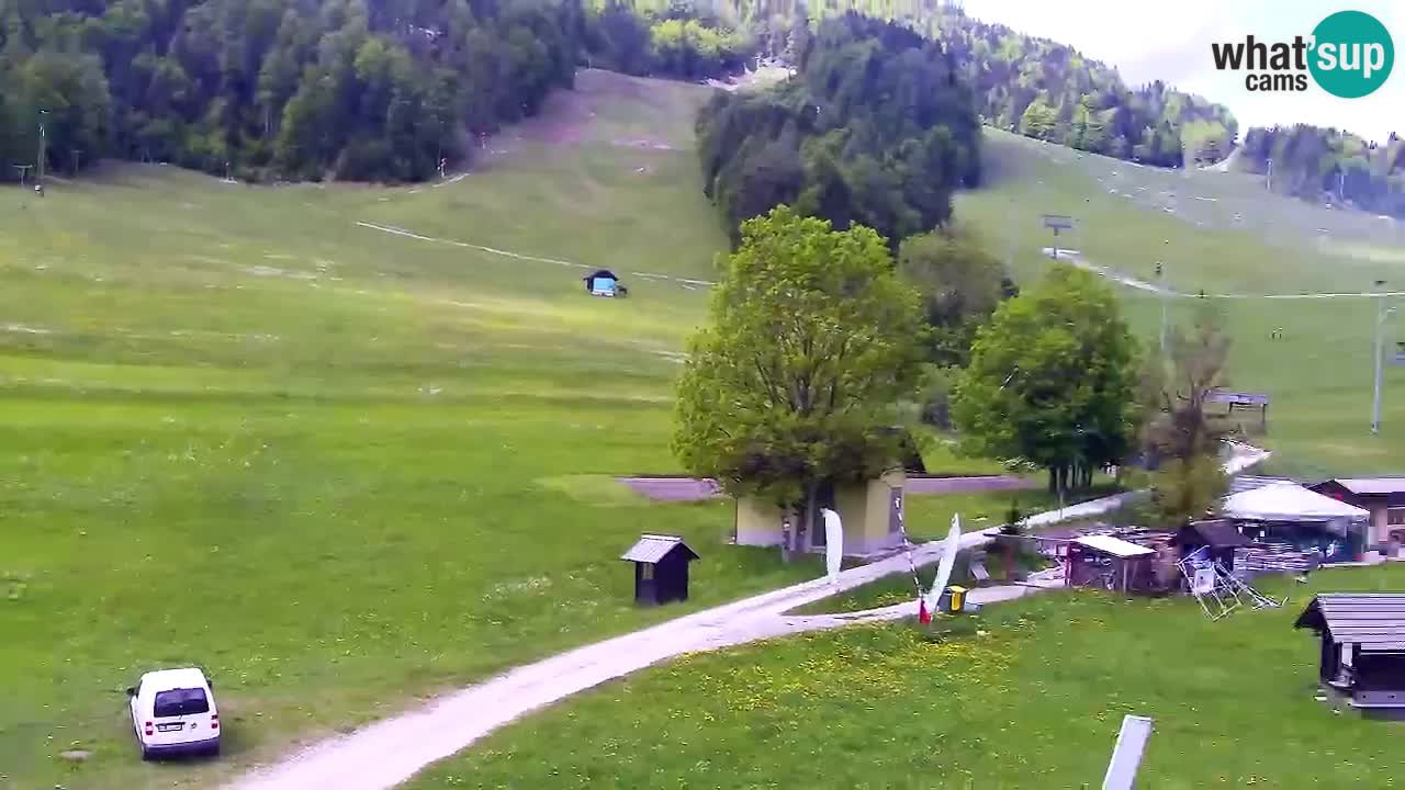 Web kamera Kranjska Gora Skijalište | Proge Mojca in Kekec