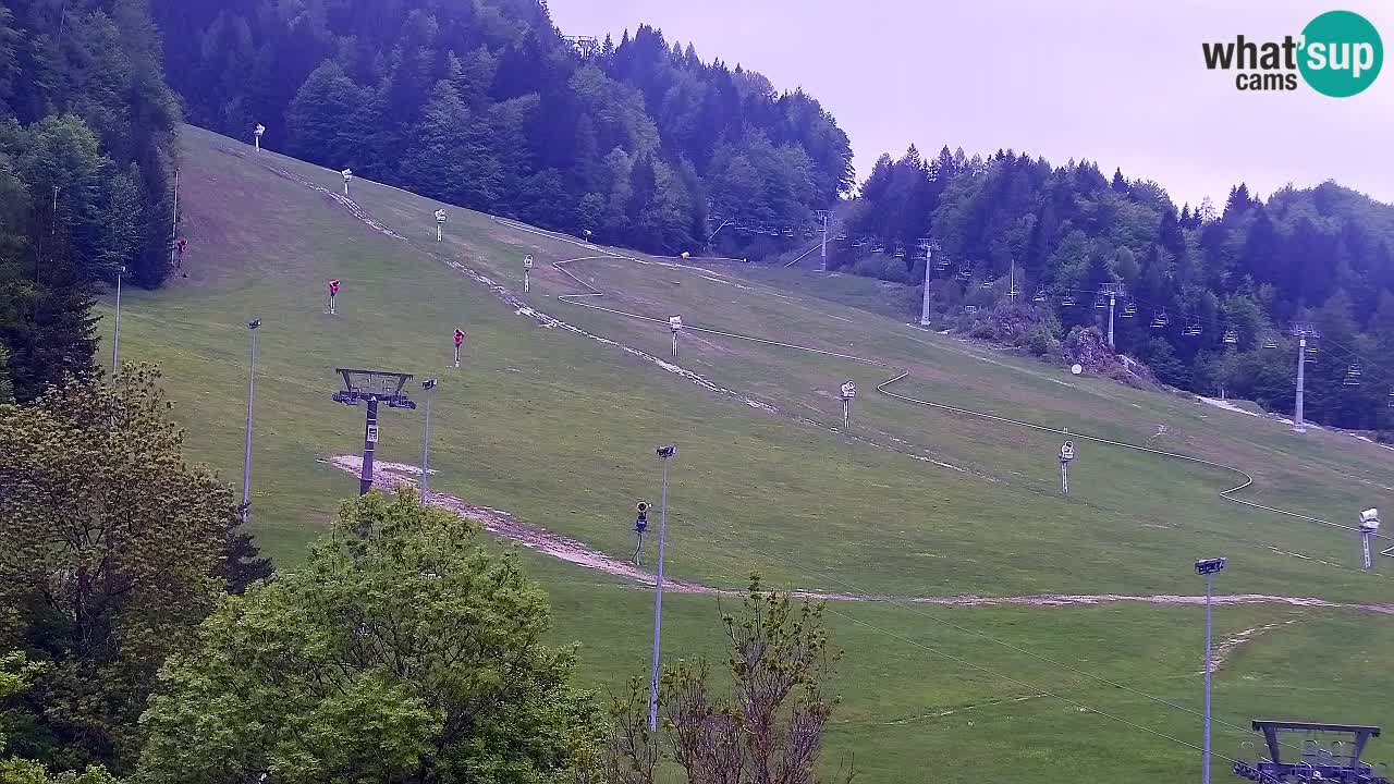 Webcam Estación de esquí Kranjska Gora – Eslovenia