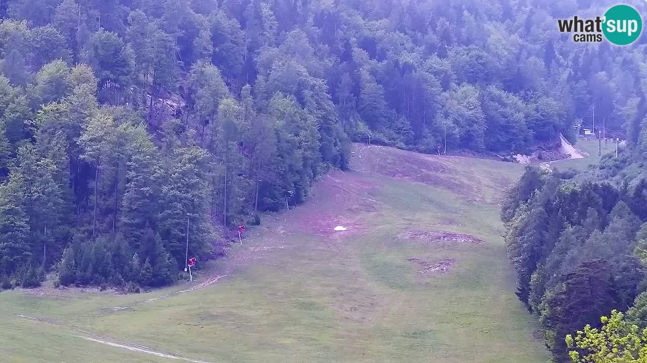 Webcam Kranjska Gora SKI resort | Bech, Kekec, Mojca ski