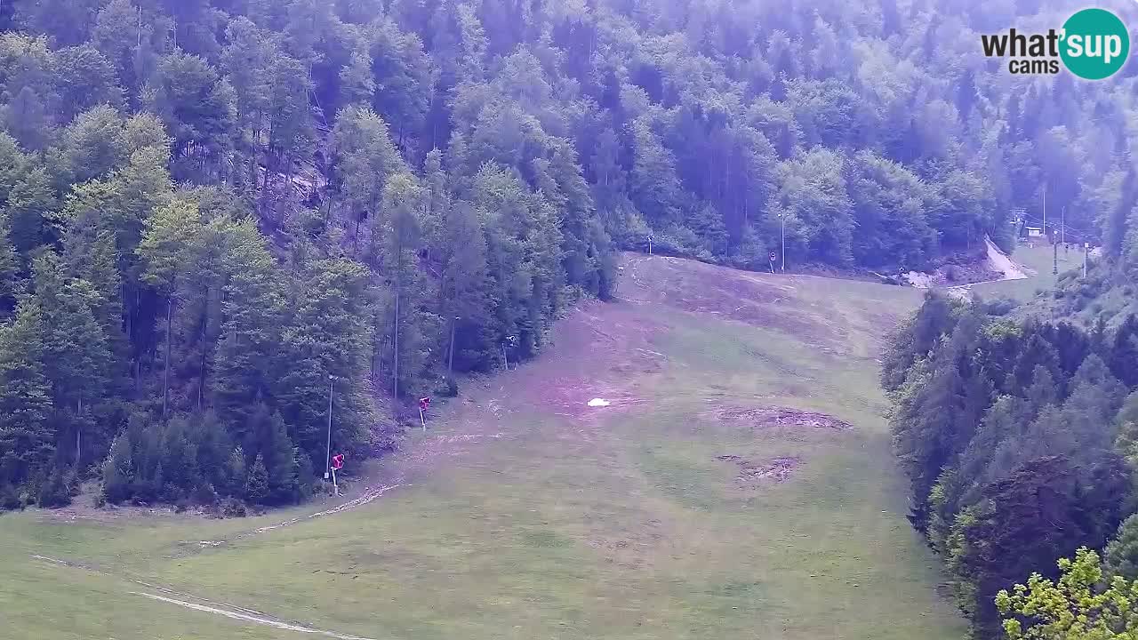 Webcam Kranjska Gora SKI resort | Bech, Kekec, Mojca ski