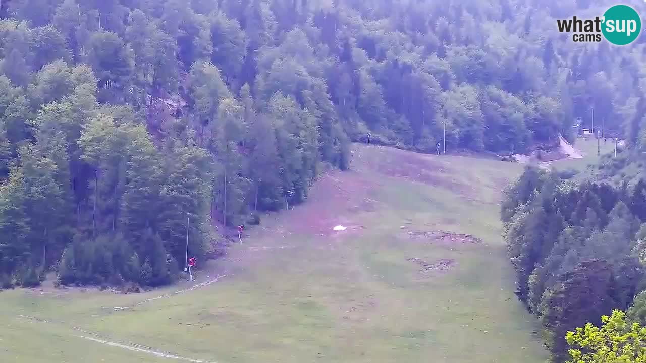 Webcam Kranjska Gora SKI resort | Bech, Kekec, Mojca ski