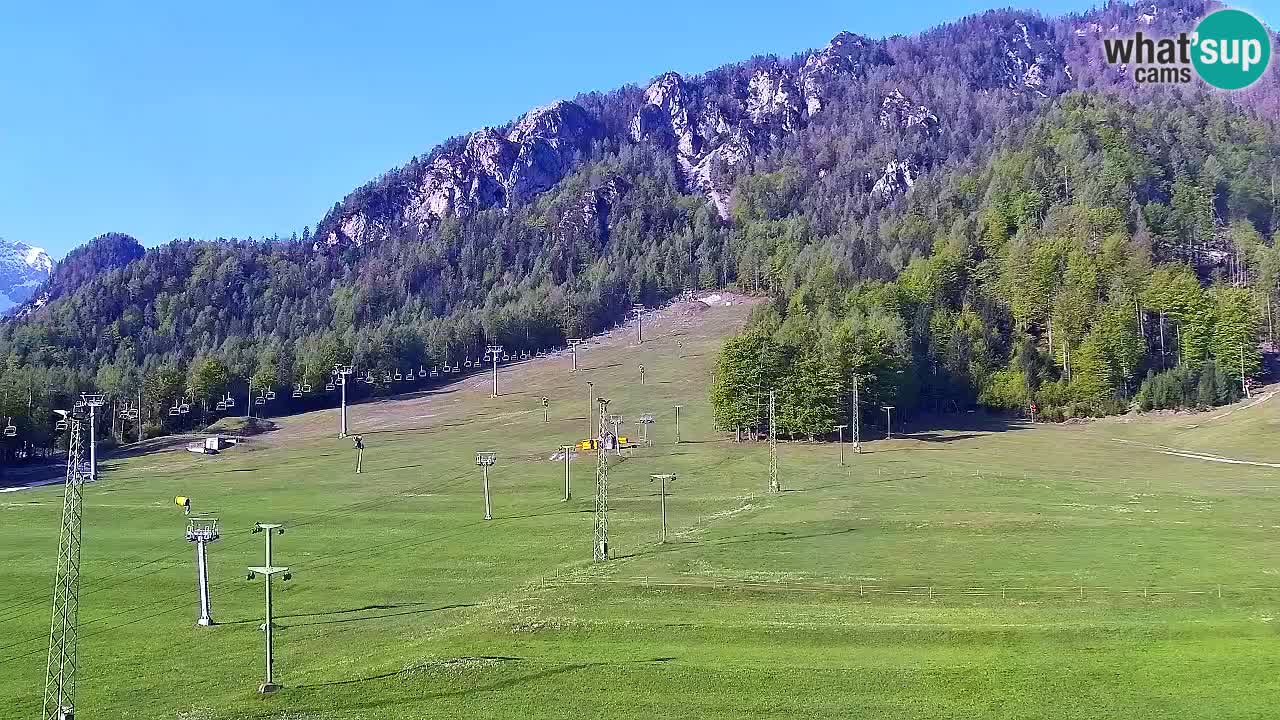 Webcam Kranjska Gora SKI resort | Bech, Kekec, Mojca ski