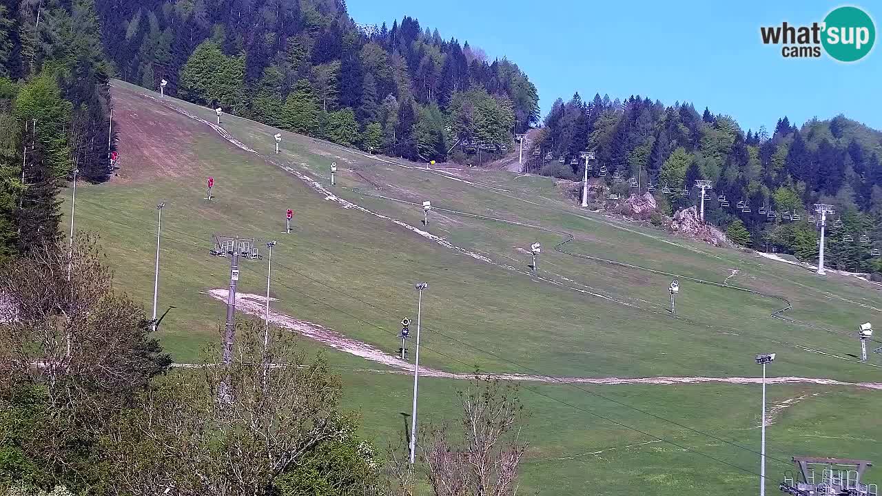 Webcam Skigebiet Kranjska Gora – Slowenien