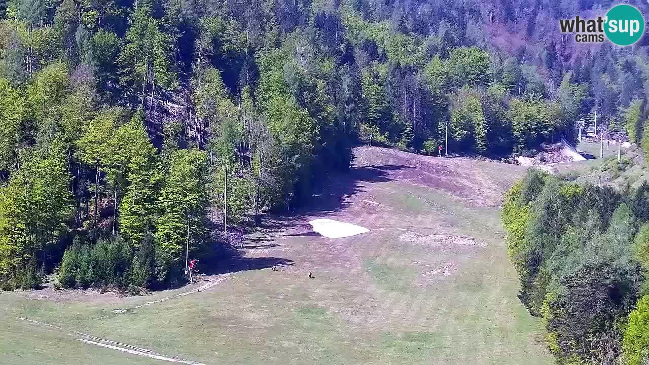 Webcam Skigebiet Kranjska Gora – Slowenien