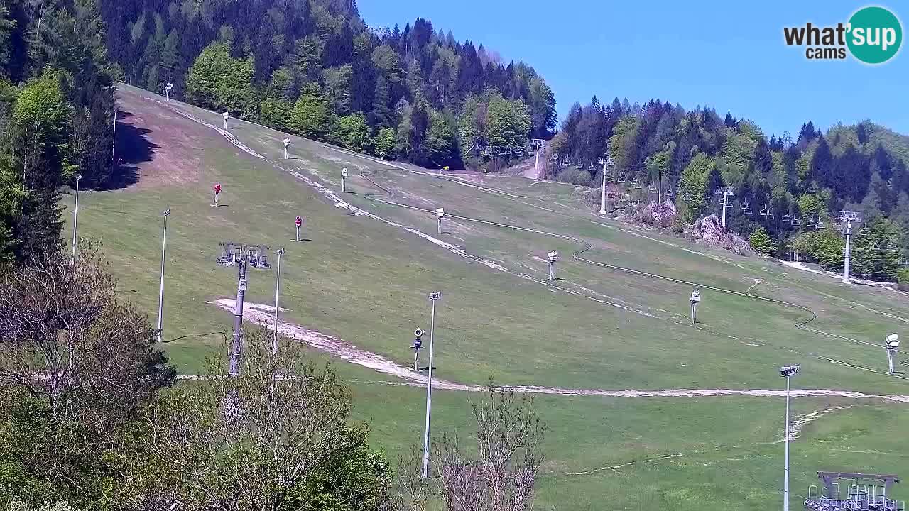Webcam Kranjska Gora SKI resort | Bech, Kekec, Mojca ski
