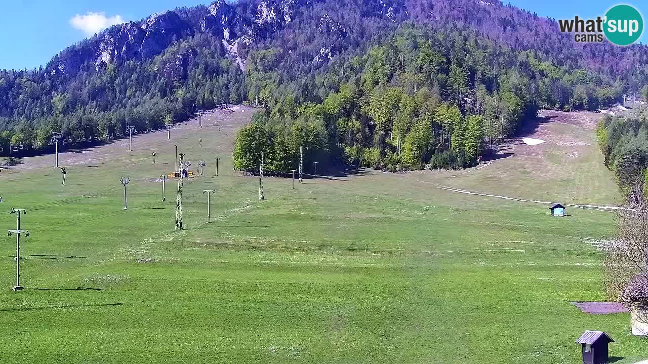 Webcam Estación de esquí Kranjska Gora – Eslovenia