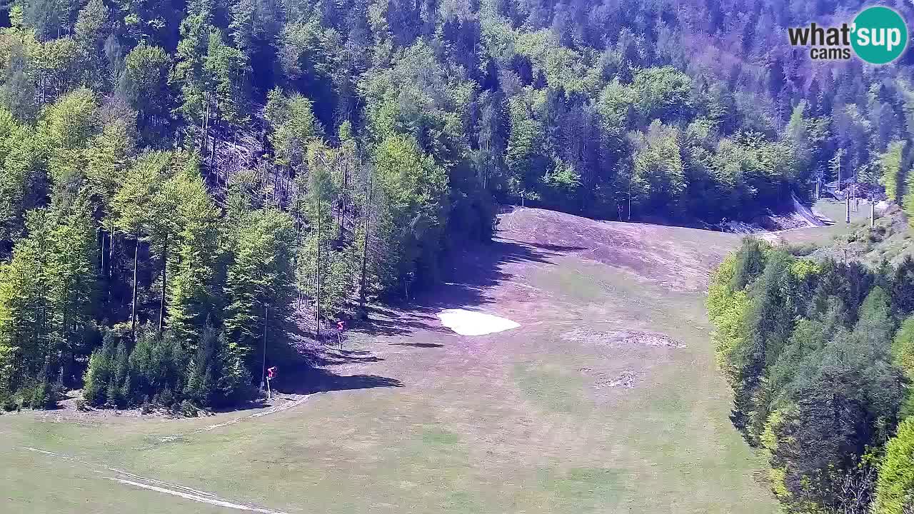 Webcam Kranjska Gora SKI resort | Bech, Kekec, Mojca ski