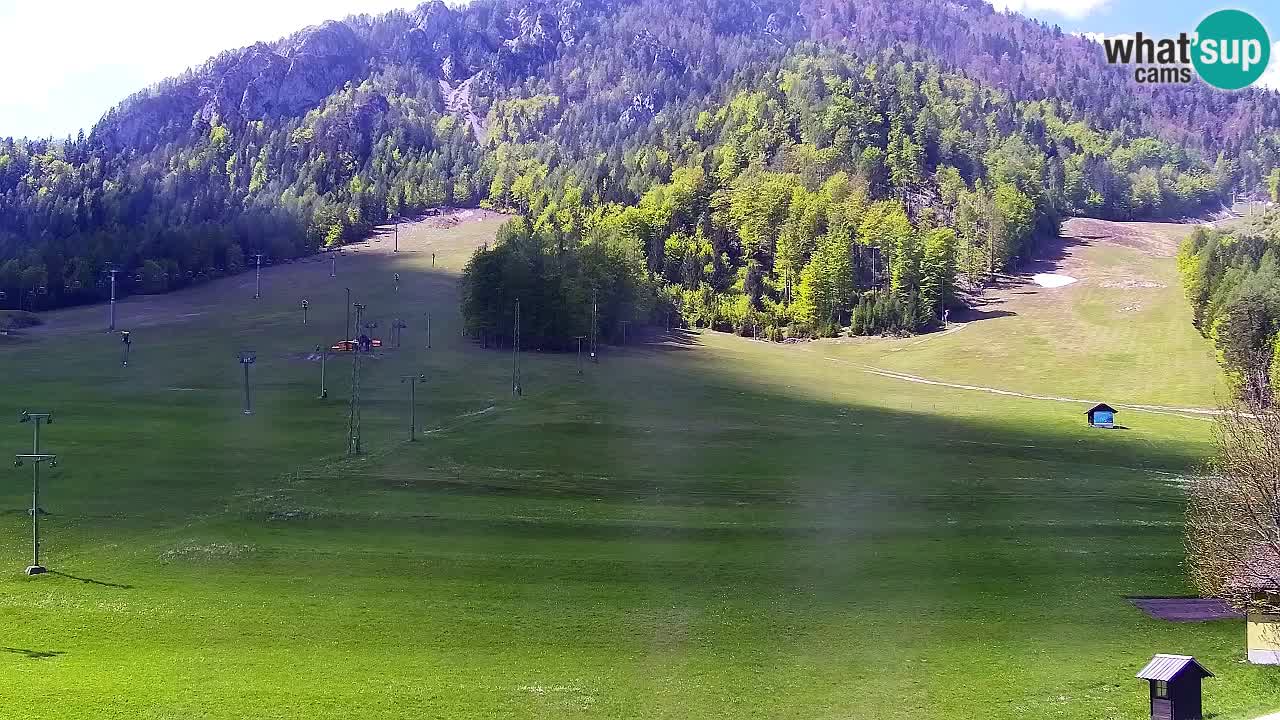 Webcam Kranjska Gora SKI resort | Bech, Kekec, Mojca ski