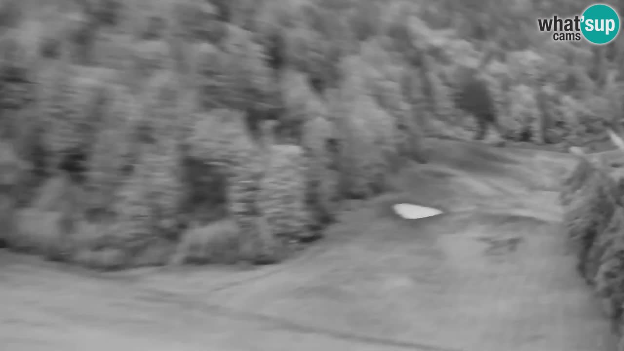 Webcam Skigebiet Kranjska Gora – Slowenien