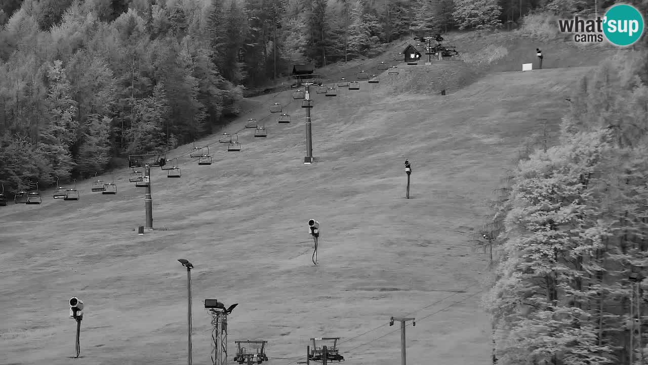 Webcam Kranjska Gora SKI – panoramica Piste centrali