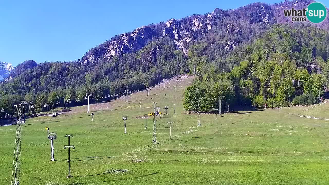 Webcam Kranjska Gora SKI resort | Bech, Kekec, Mojca ski