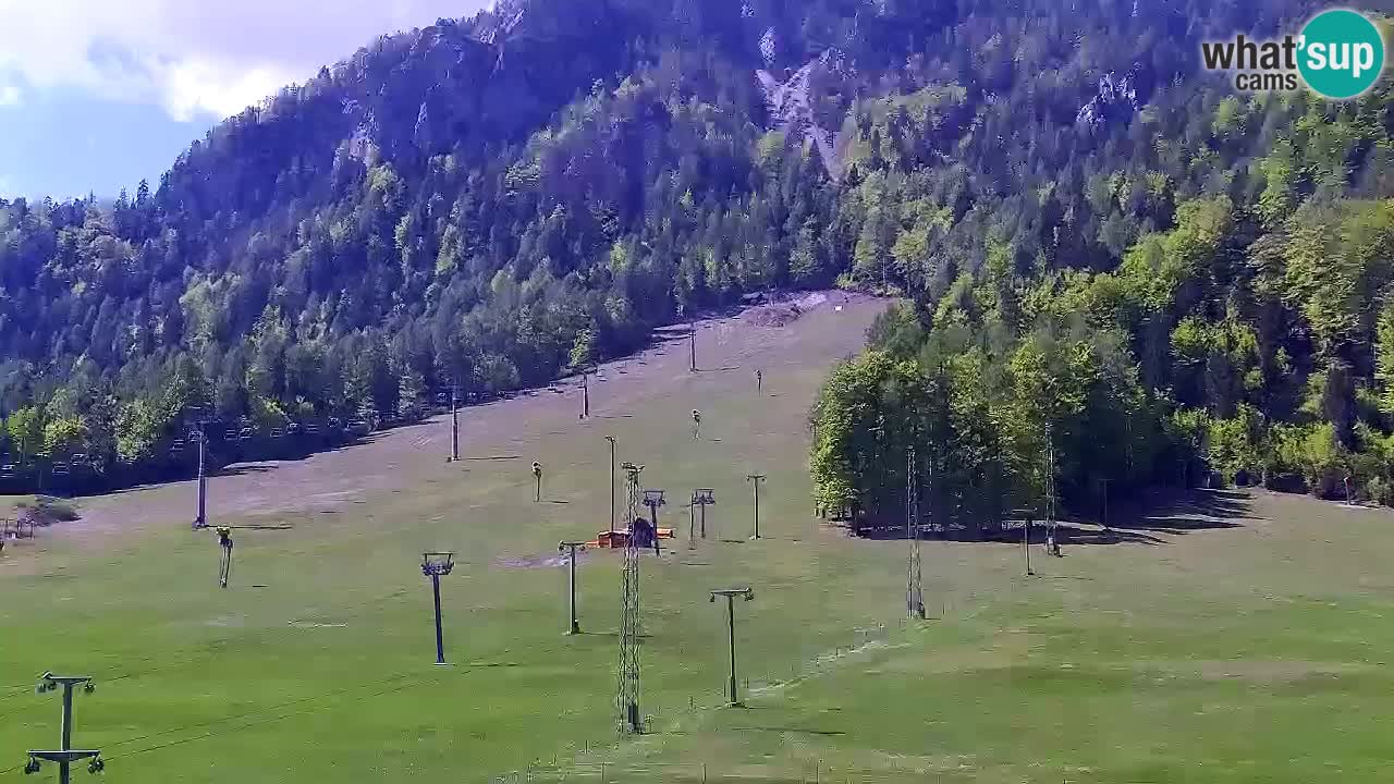 Webcam Kranjska Gora SKI – panoramica Piste centrali