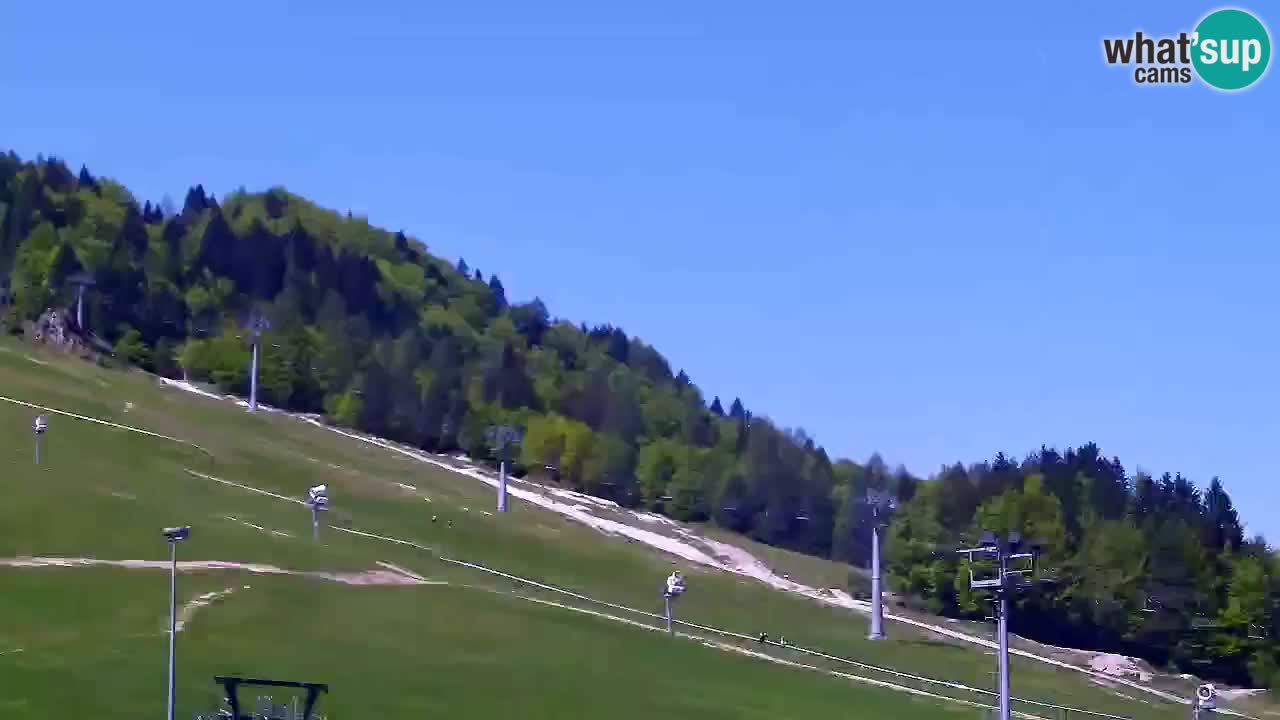 Webcam Kranjska Gora SKI – panoramica Piste centrali