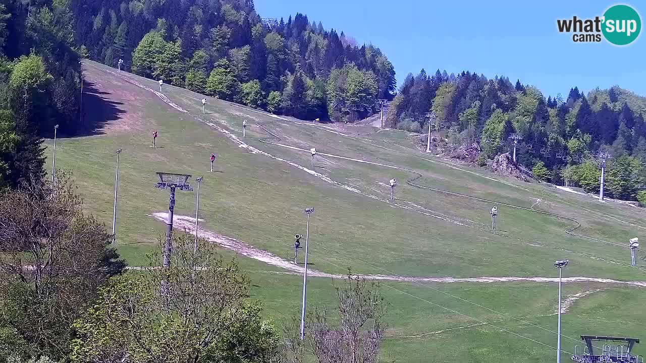 Webcam Kranjska Gora SKI resort | Bech, Kekec, Mojca ski