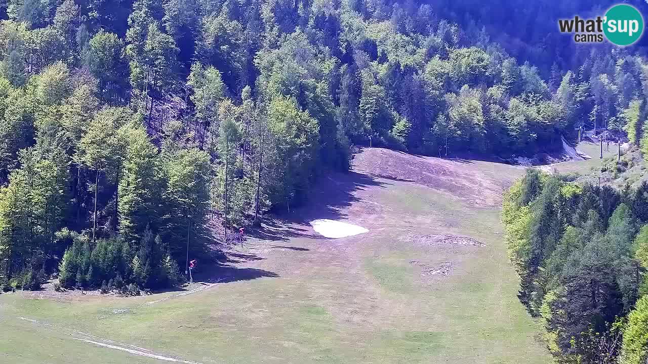 Webcam Kranjska Gora SKI resort | Bech, Kekec, Mojca ski