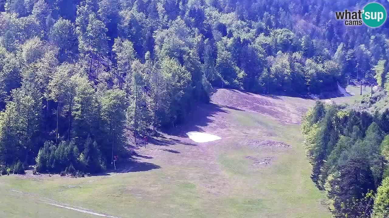 Web kamera Kranjska Gora Skijalište | Proge Mojca in Kekec