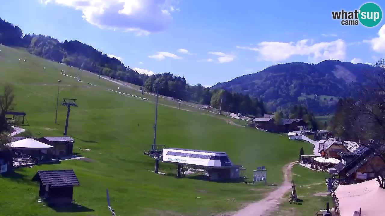 Webcam Kranjska Gora SKI – panoramica Piste centrali