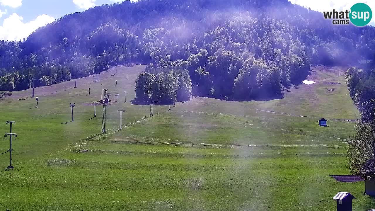 Webcam Estación de esquí Kranjska Gora – Eslovenia