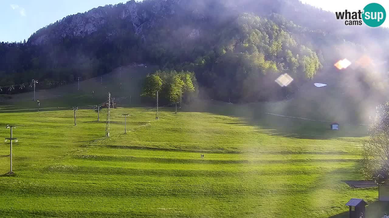 Web kamera Kranjska Gora Skijalište | Proge Mojca in Kekec