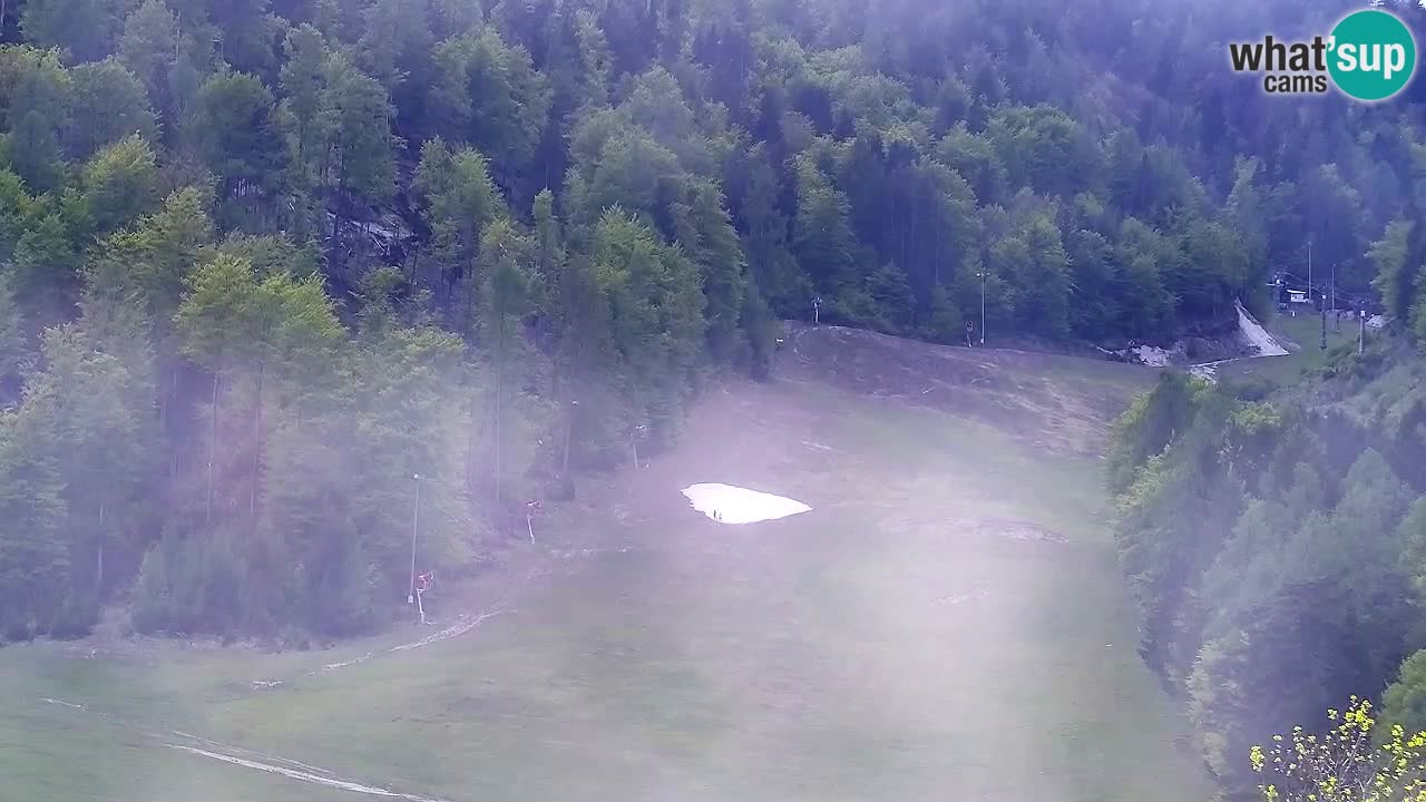 Webcam Skigebiet Kranjska Gora – Slowenien