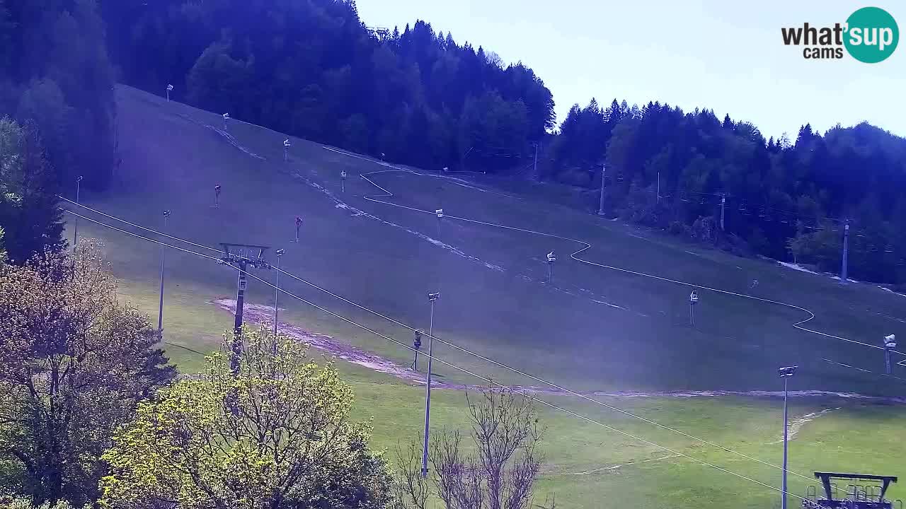 Web kamera Kranjska Gora Skijalište | Proge Mojca in Kekec