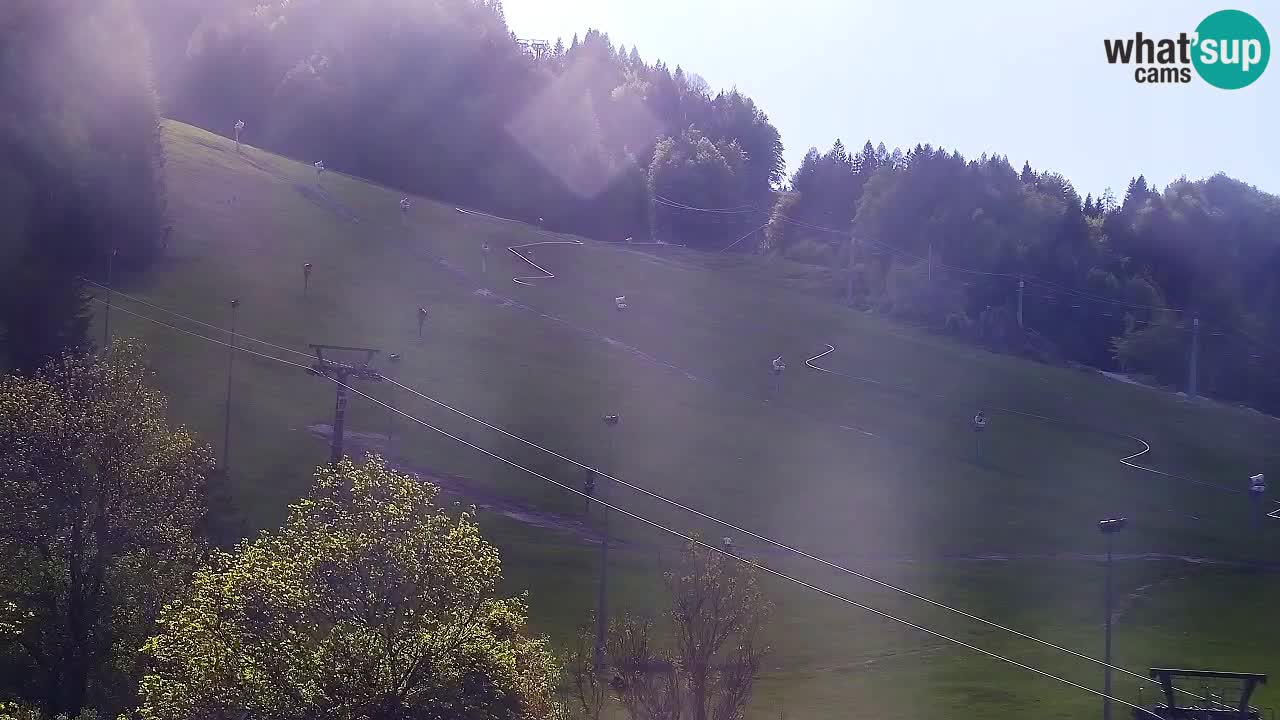 Webcam Kranjska Gora SKI – panoramica Piste centrali