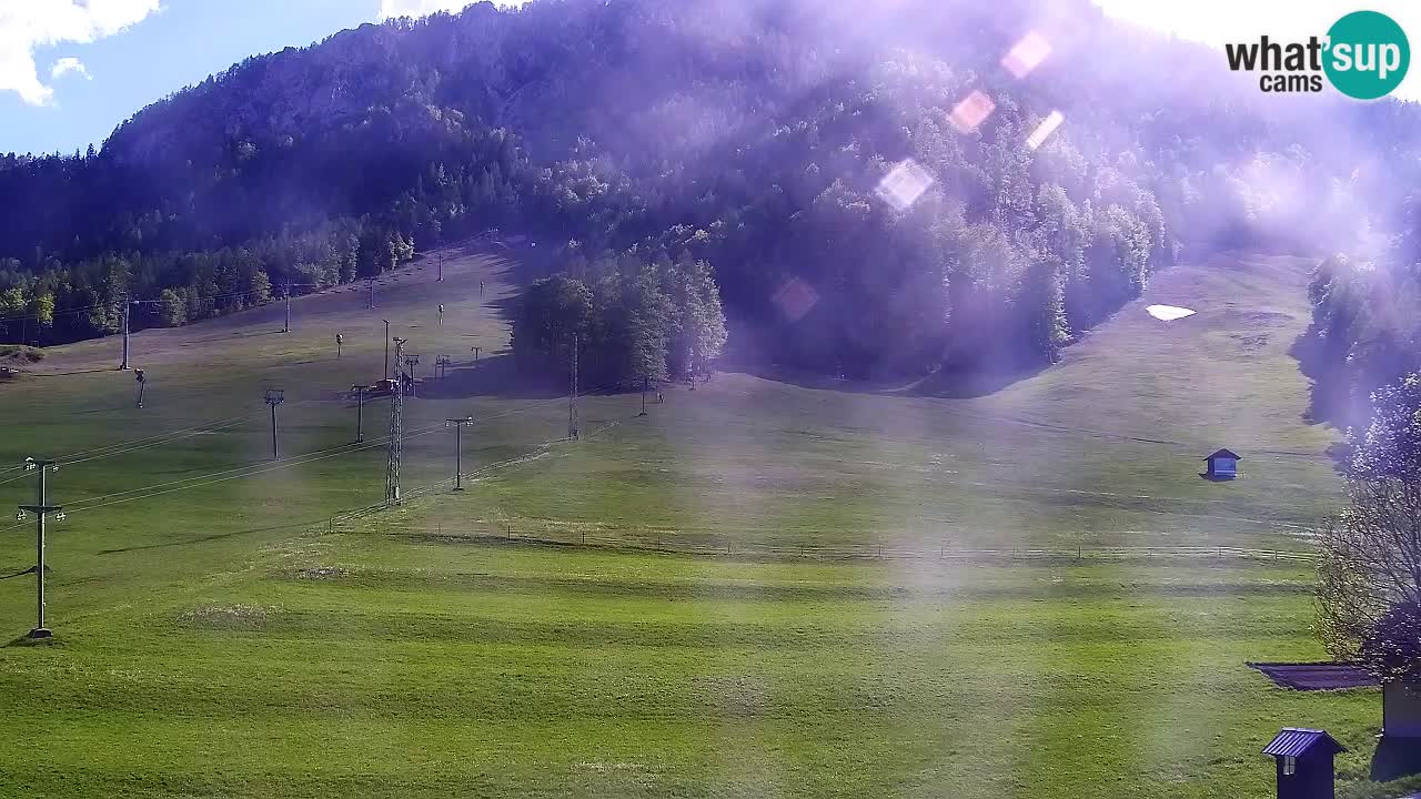 Web kamera Kranjska Gora Skijalište | Proge Mojca in Kekec