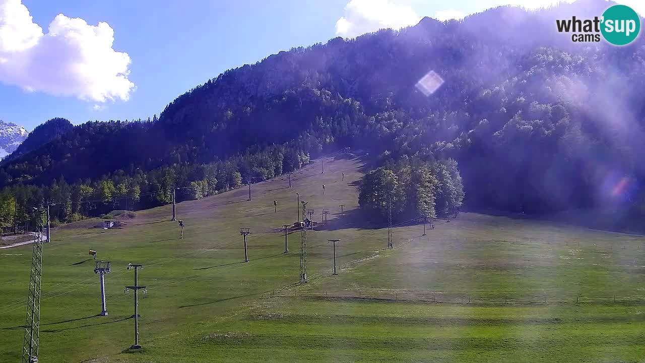 Web kamera Kranjska Gora Skijalište | Proge Mojca in Kekec