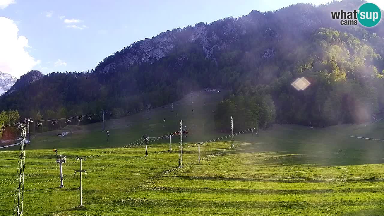 Webcam Kranjska Gora SKI – panoramica Piste centrali