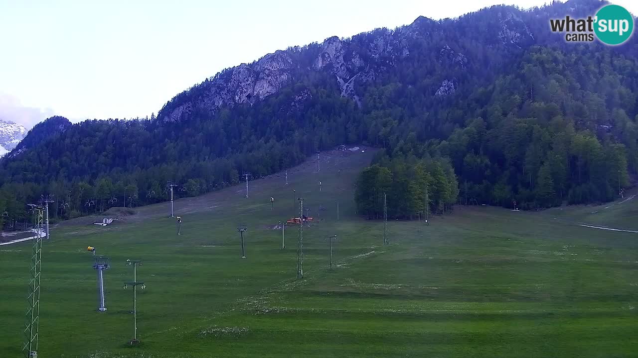 Webcam Kranjska Gora SKI resort | Bech, Kekec, Mojca ski