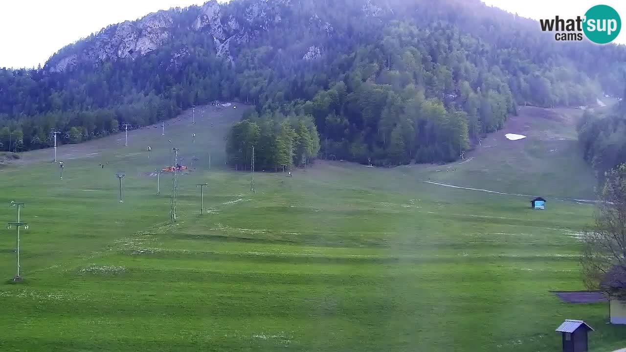 Webcam Estación de esquí Kranjska Gora – Eslovenia