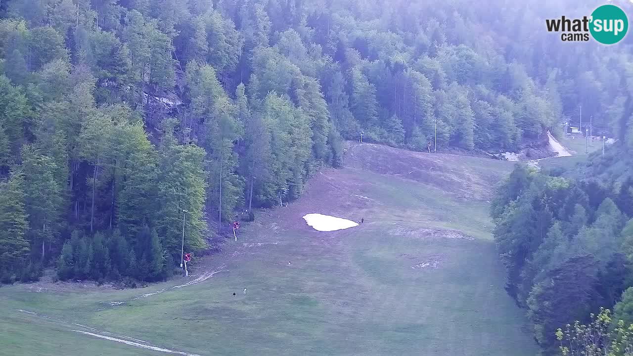 Webcam Kranjska Gora SKI – panoramica Piste centrali