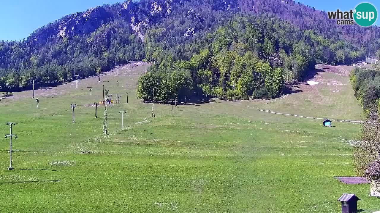 Webcam Kranjska Gora SKI – panoramica Piste centrali