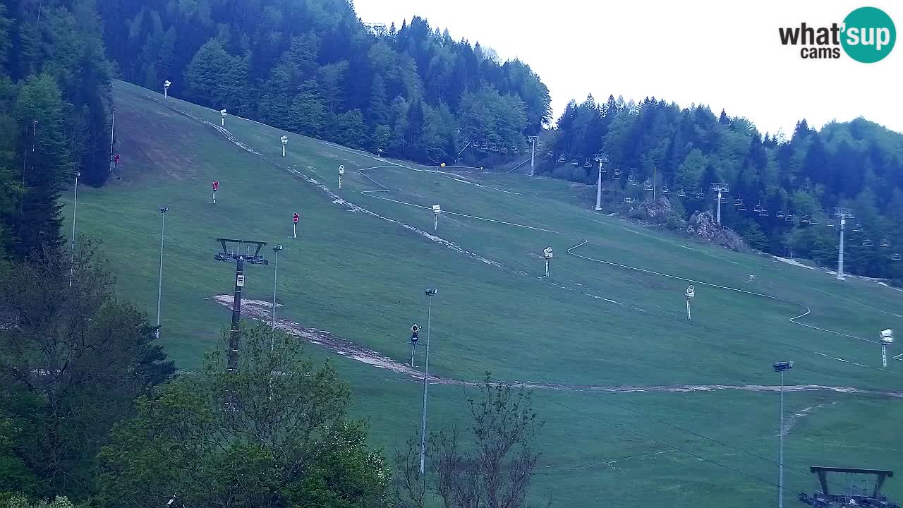 Webcam Station de ski Kranjska Gora – Slovénie