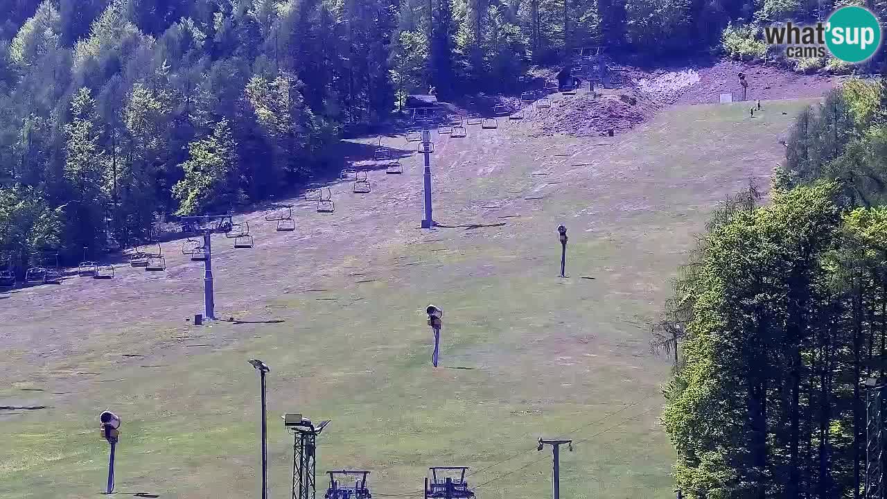 Webcam Kranjska Gora SKI – panoramica Piste centrali