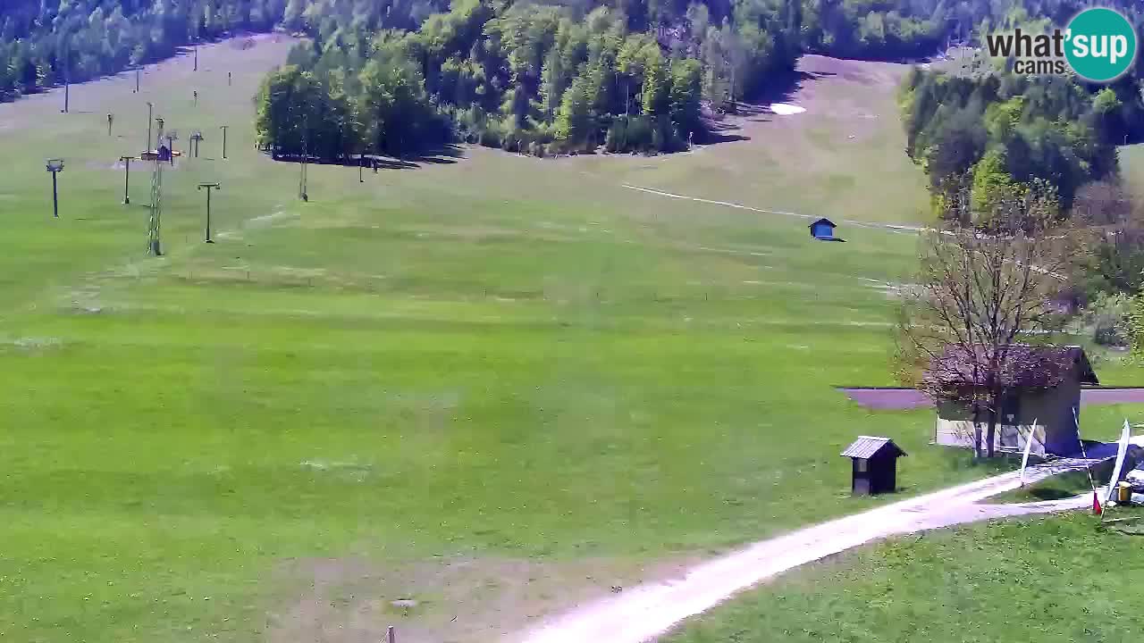 Webcam Kranjska Gora SKI resort | Bech, Kekec, Mojca ski