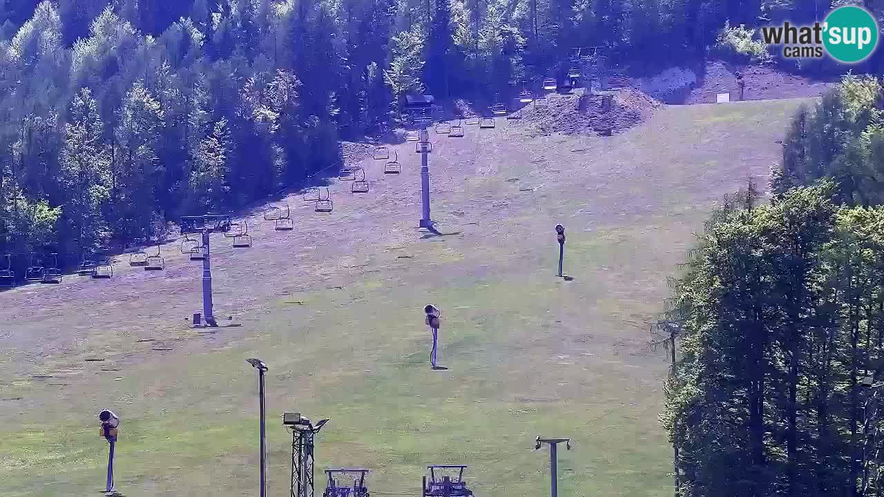 Webcam Kranjska Gora SKI – panoramica Piste centrali