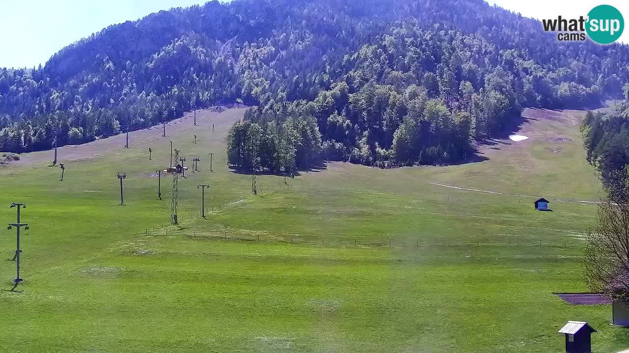 Webcam Ski resort Kranjska Gora – Slovenia