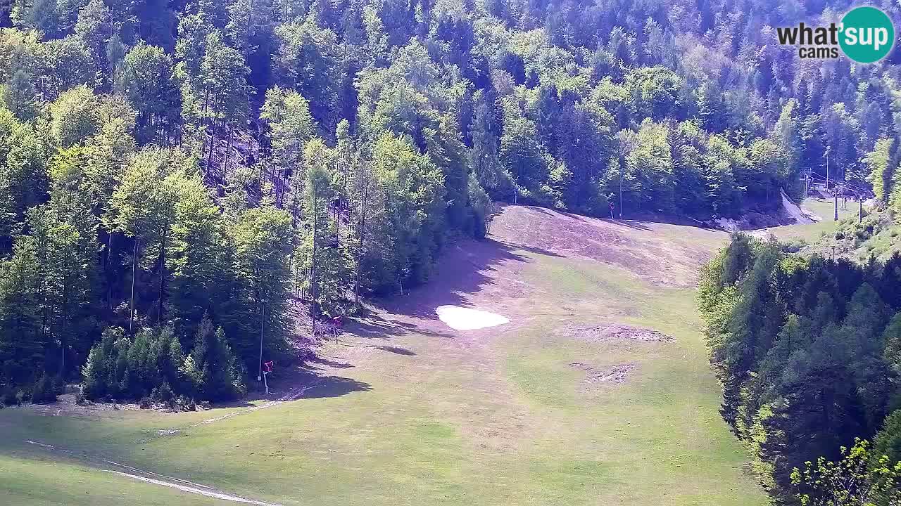 Webcam Kranjska Gora SKI resort | Bech, Kekec, Mojca ski