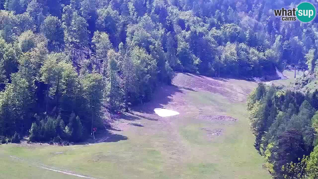 Web kamera Kranjska Gora Skijalište | Proge Mojca in Kekec