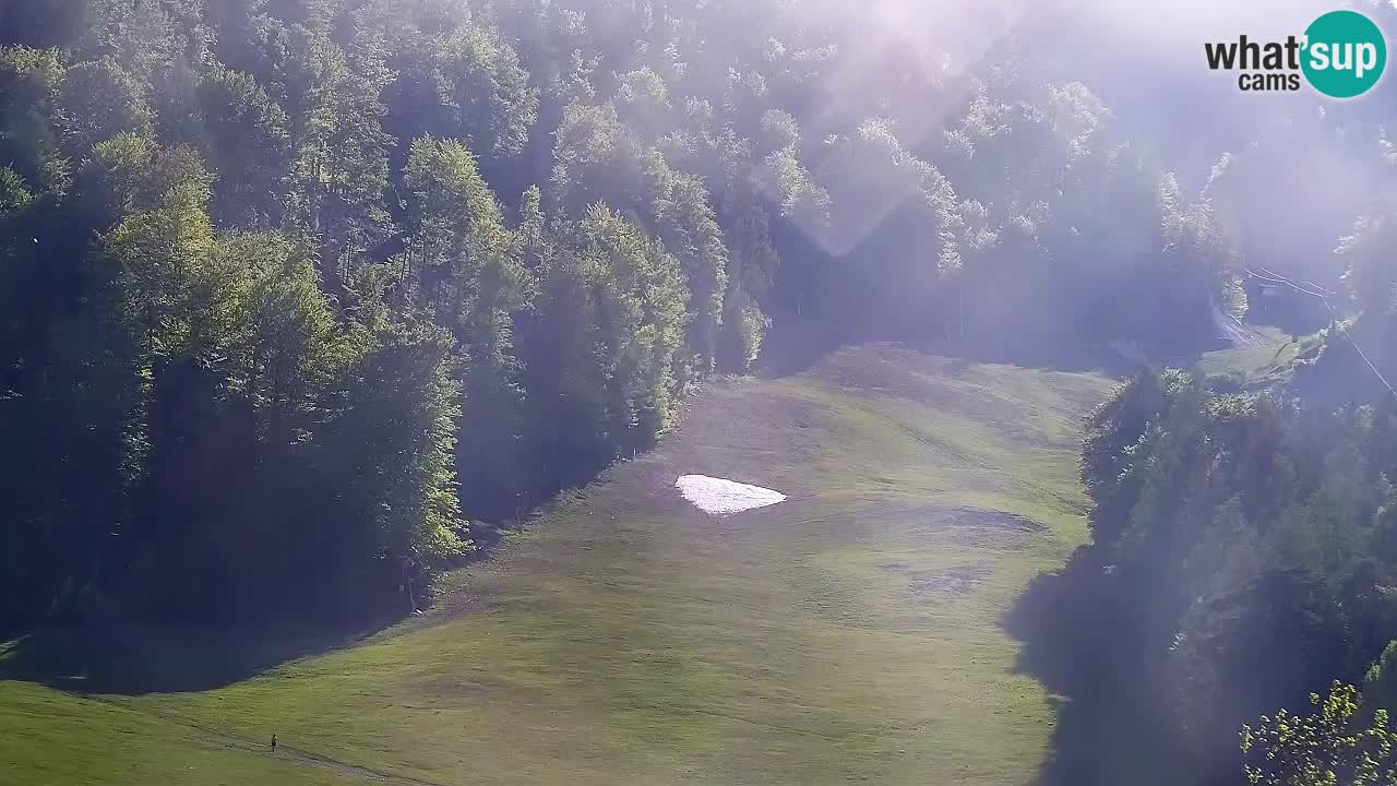 Webcam Kranjska Gora SKI resort | Bech, Kekec, Mojca ski