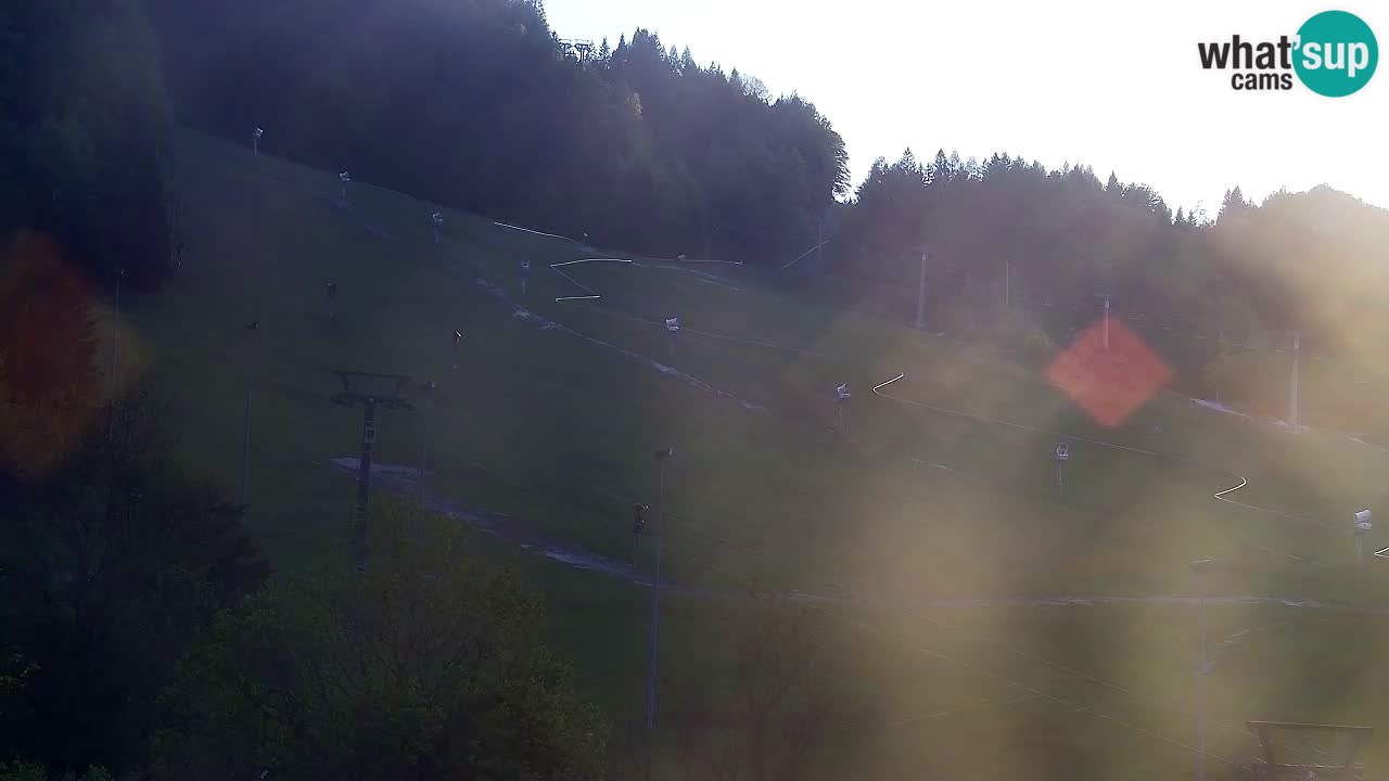 Webcam Estación de esquí Kranjska Gora – Eslovenia