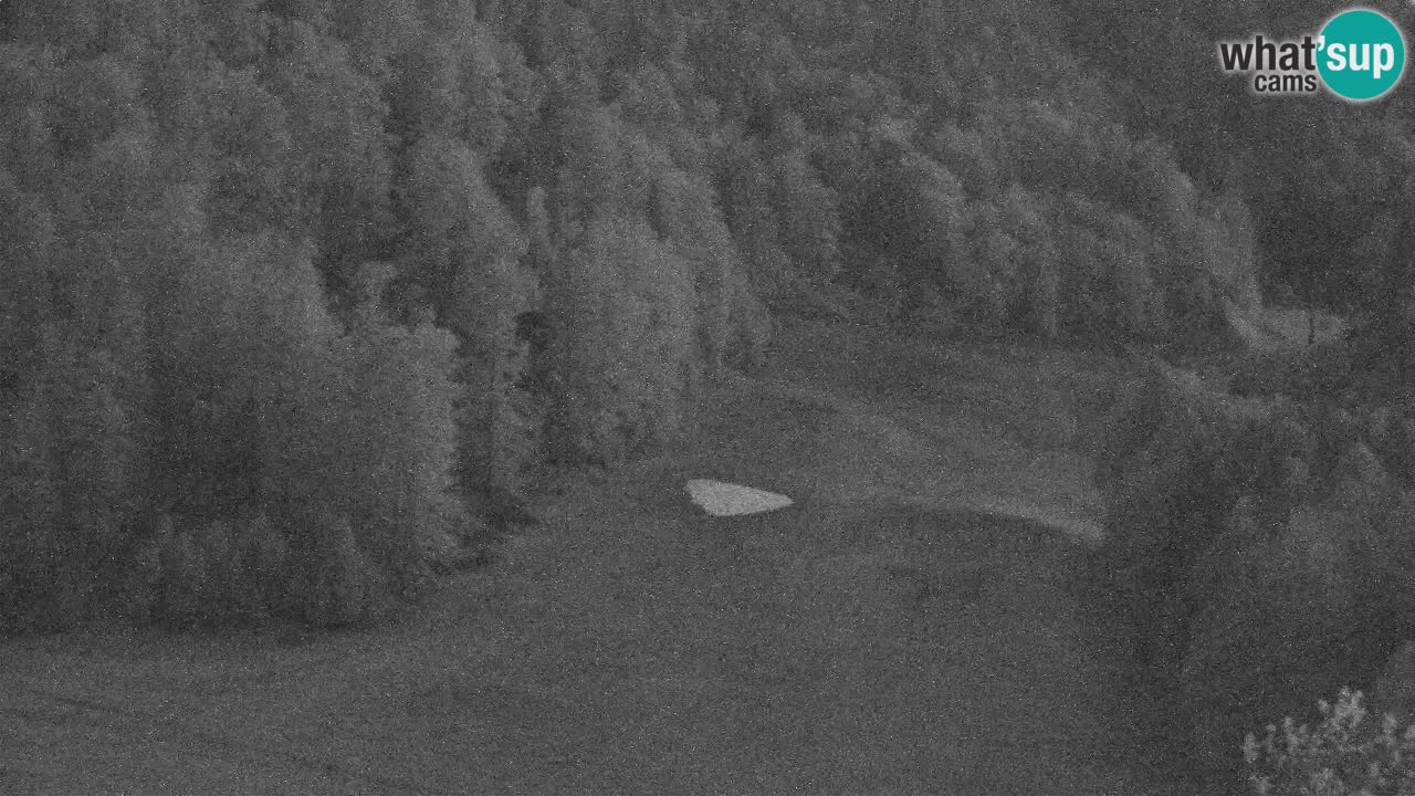 Webcam Kranjska Gora SKI resort | Bech, Kekec, Mojca ski
