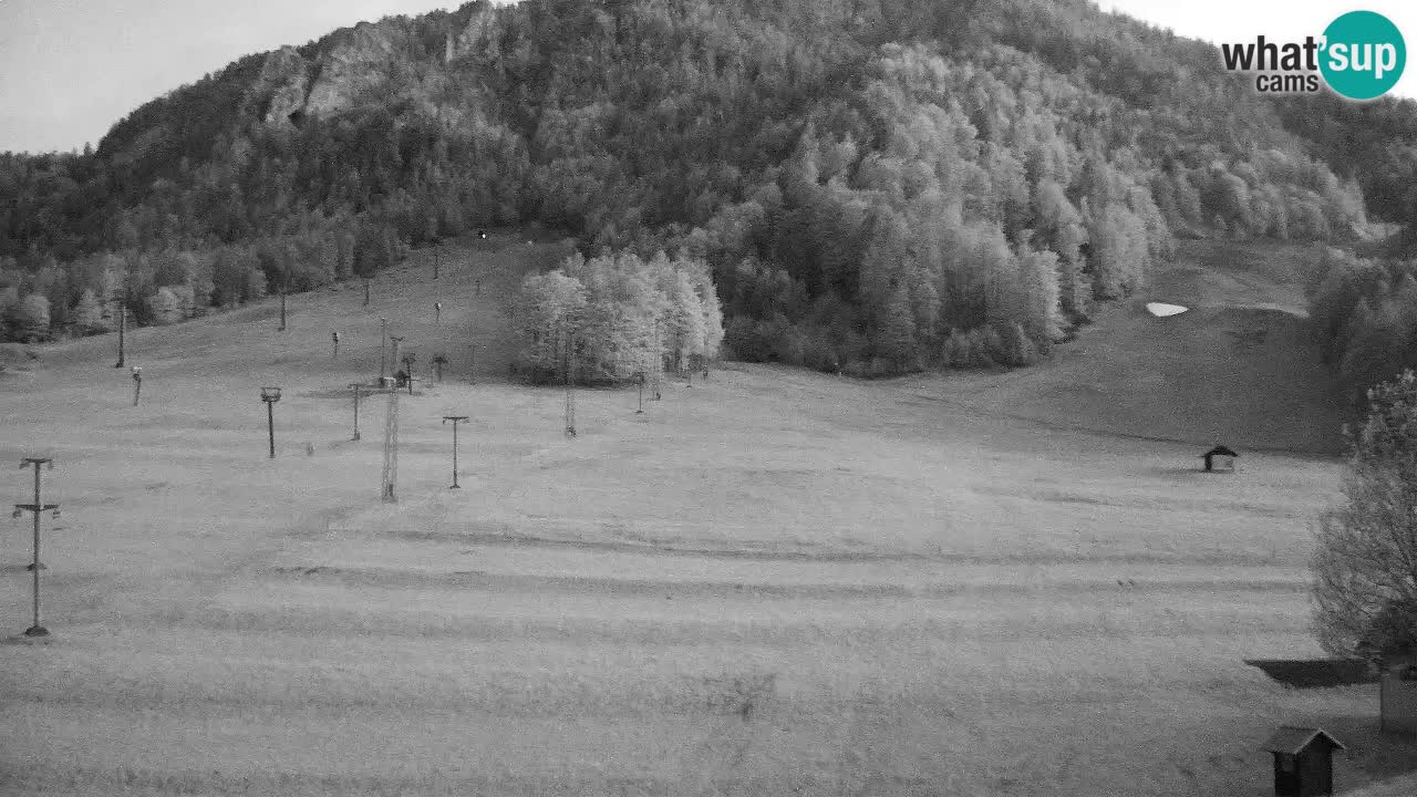 Webcam Skigebiet Kranjska Gora – Slowenien