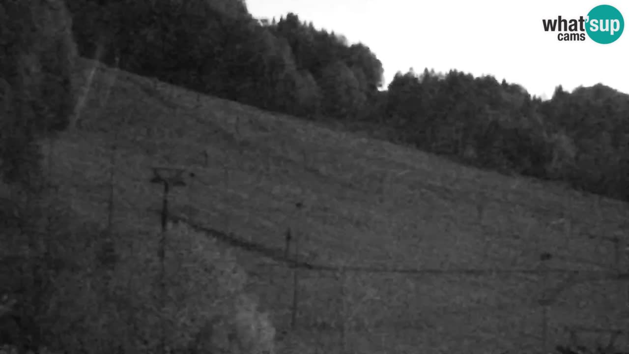 Webcam Estación de esquí Kranjska Gora – Eslovenia