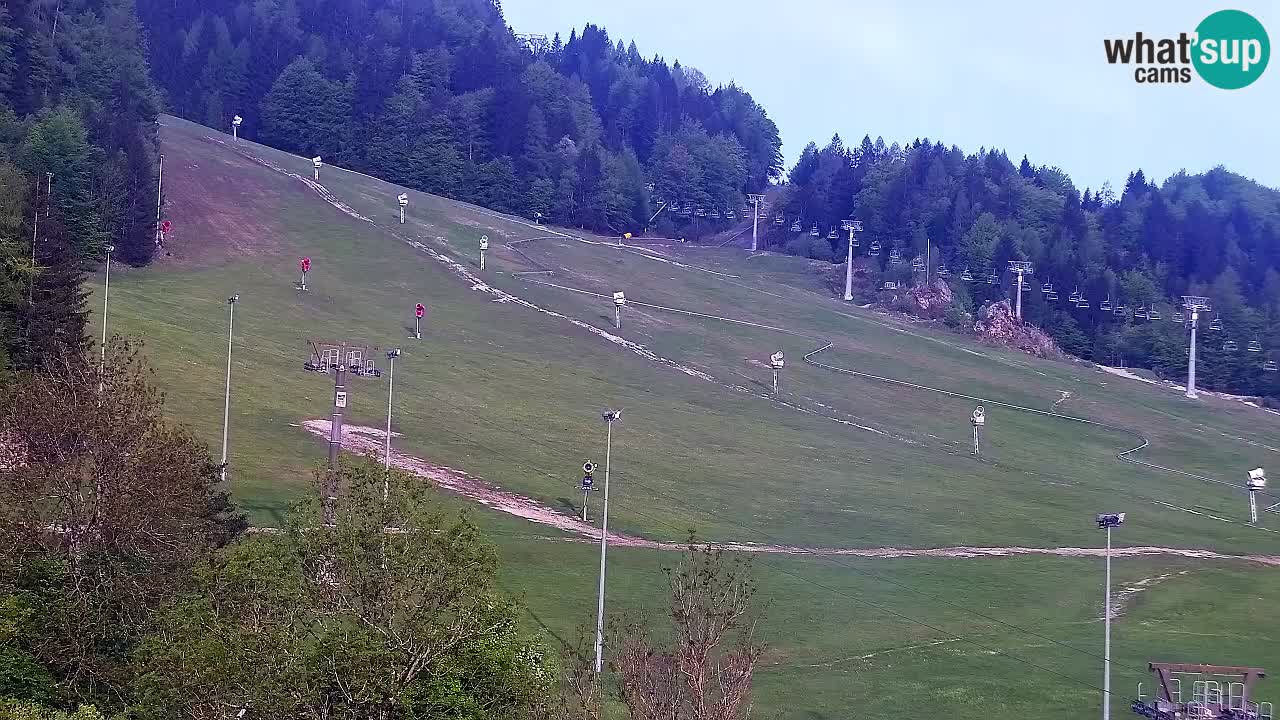 Webcam Comprensorio sciistico Kranjska Gora – Slovenia