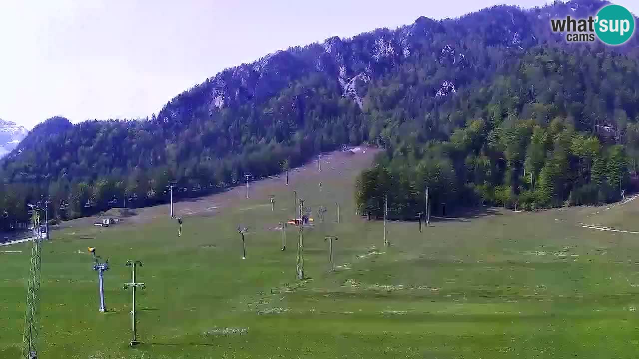 Webcam Kranjska Gora SKI resort | Bech, Kekec, Mojca ski