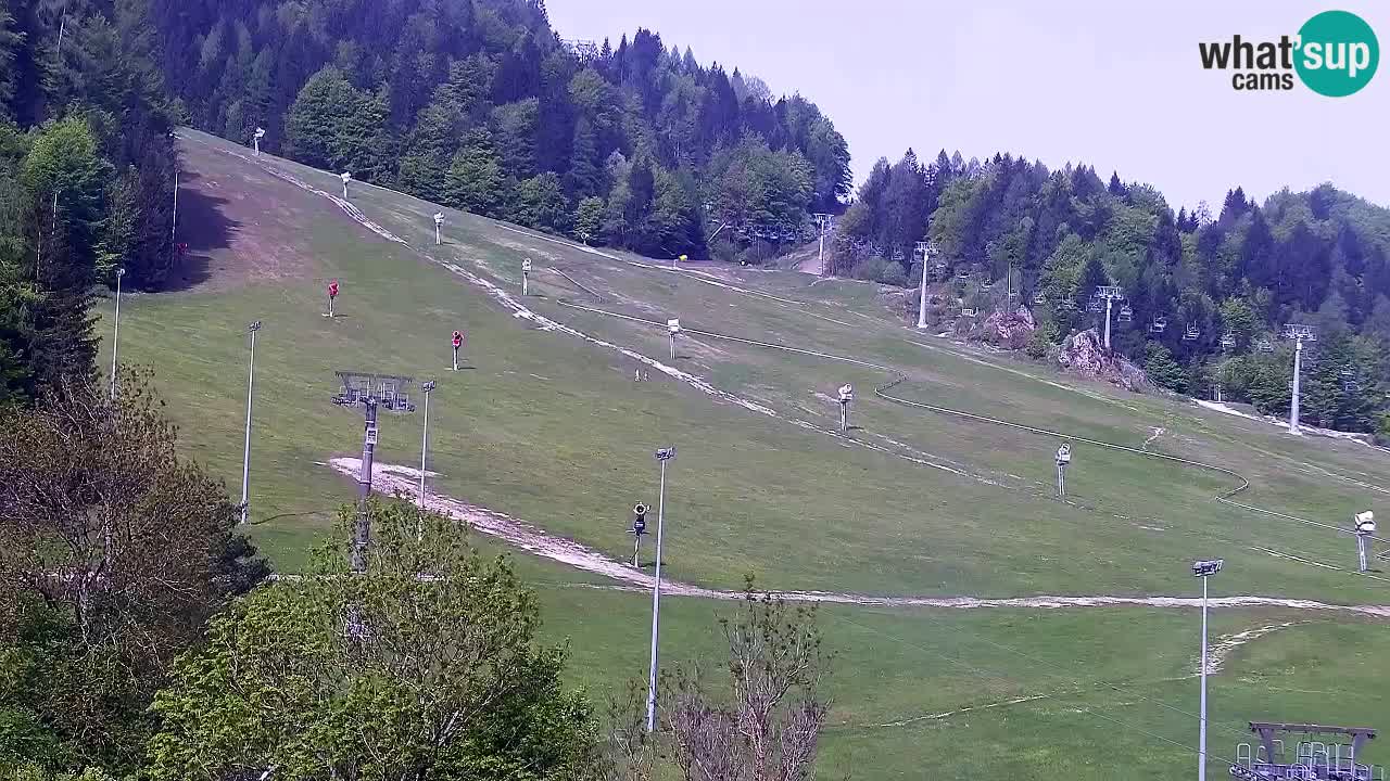 Webcam Kranjska Gora SKI – panoramica Piste centrali